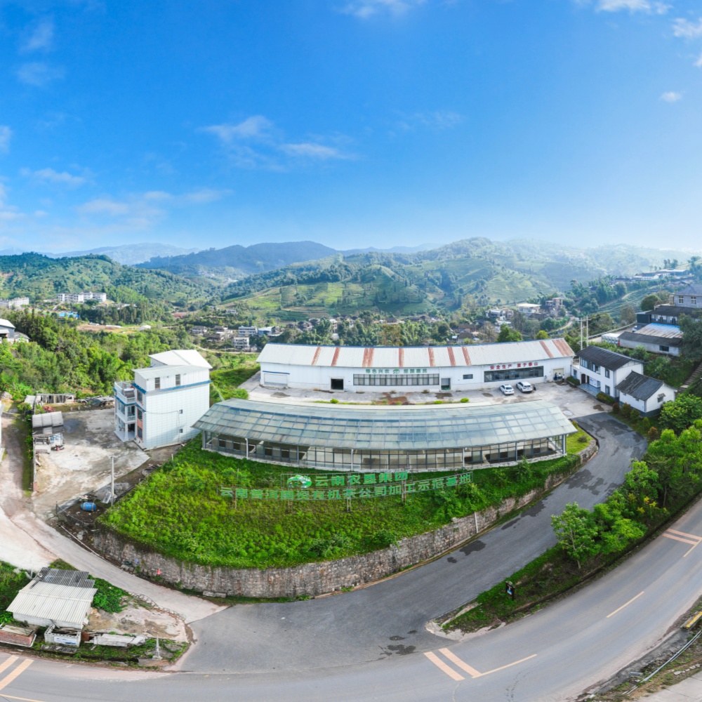 云南普洱国资有机茶业有限公司